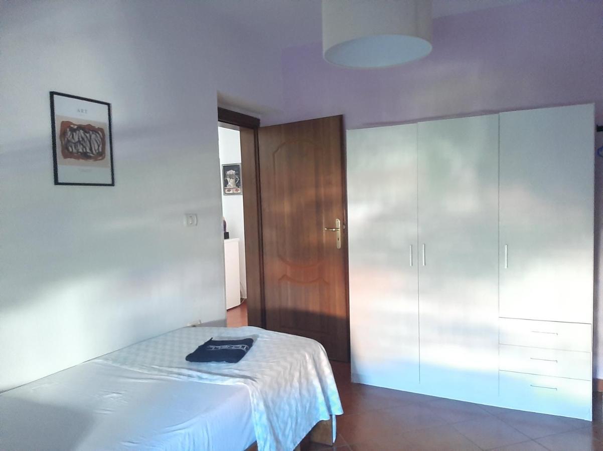 Apartment Daily Rent