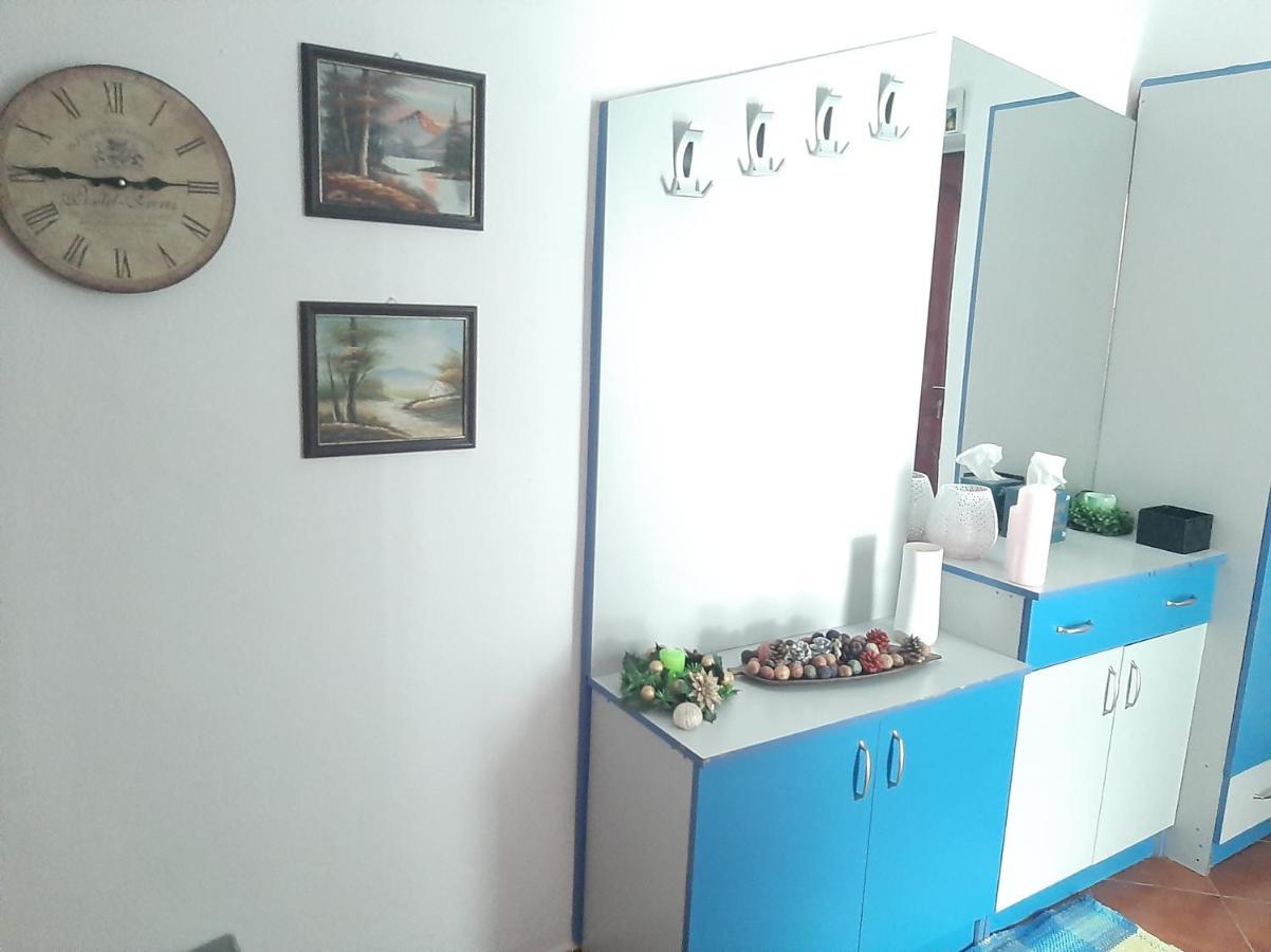 Daily Rent * Tirana